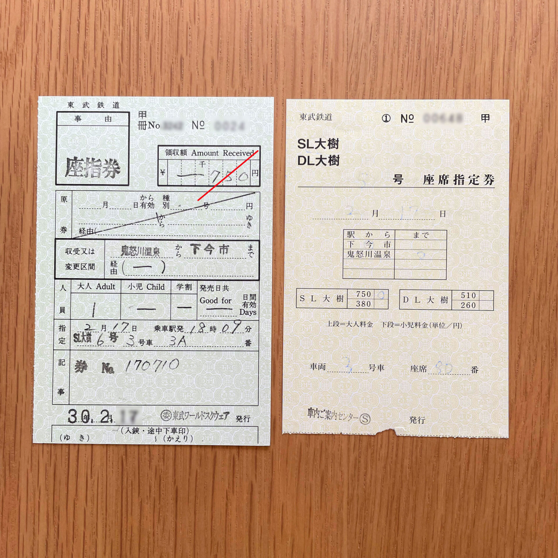 SL大樹号座席指定券